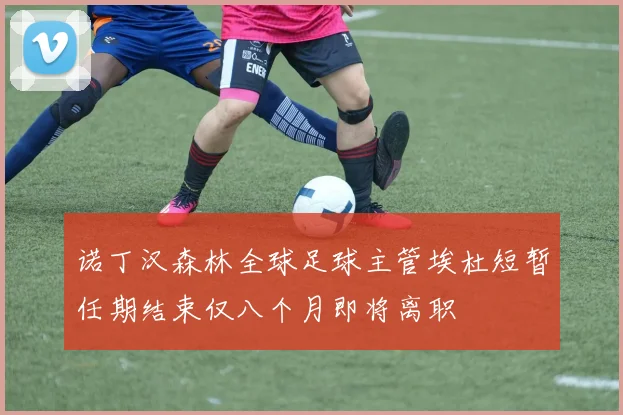 诺丁汉森林全球足球主管埃杜短暂任期结束仅八个月即将离职