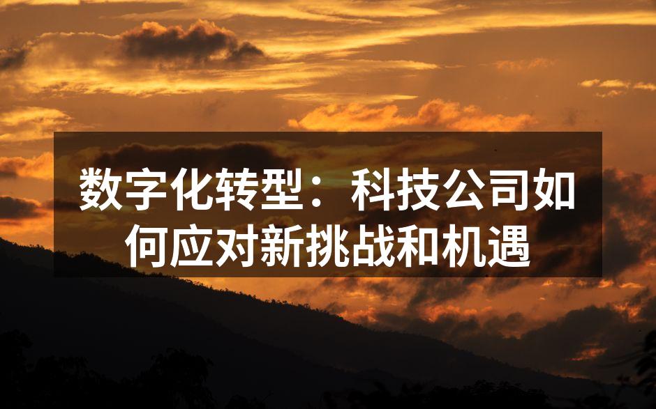 数字化转型：科技公司如何应对新挑战和机遇